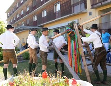 Mehrere Personen in Tracht stellen im Garten eines Pflegewohnhauses gemeinsam einen bunt geschmückten Maibaum auf, während Bewohnerinnen und Bewohner das Geschehen aufmerksam verfolgen.