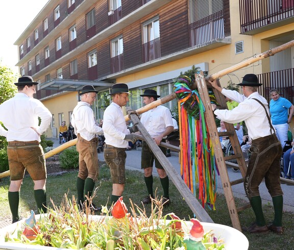Mehrere Personen in Tracht stellen im Garten eines Pflegewohnhauses gemeinsam einen bunt geschmückten Maibaum auf, während Bewohnerinnen und Bewohner das Geschehen aufmerksam verfolgen.