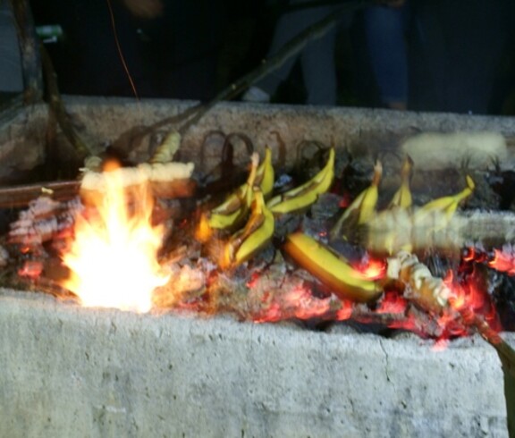 SONY DSC