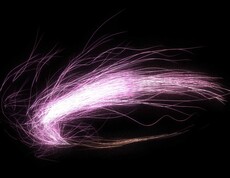 Violetter Kreis auf schwarzem Bildschirm