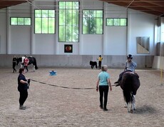 Zwei Personen und ein Pferd
