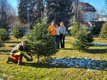 Schüler*innen des Bildungscampus Graz neben den Christbäumen, die zu einem Gesellschaftssymbol werden
