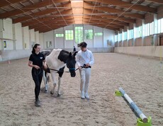 Zwei Personen und ein Pferd mitten in der Reithalle
