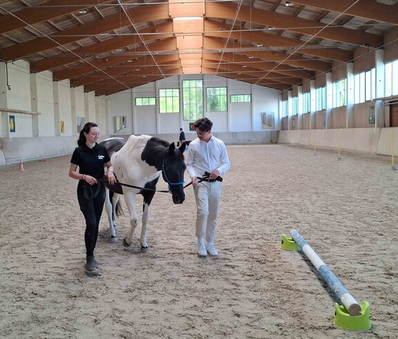 Zwei Personen und ein Pferd mitten in der Reithalle
