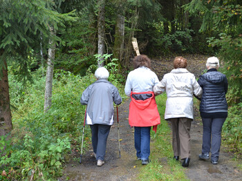 Drei Seniorinnen laufen einen Waldweg entlang. Der Rücken ist zum Betrachter gewand. 
