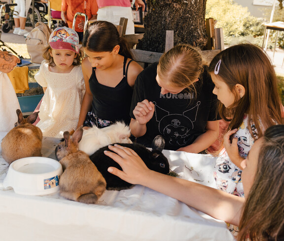Kinder streicheln Kaninchen im Streichelzoo, Tiere auf Tisch im Schatten während des Festes im Garten