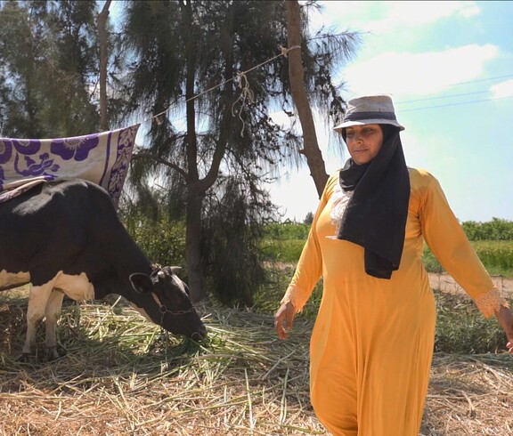Eine Frau auf einer Weide mit einer Kuh