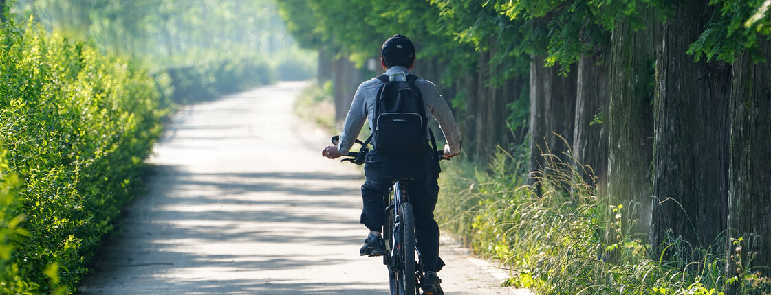 Radfahrer fährt auf einem von Bäumen beschatteten Weg und steht für nachhaltige Mobilität und Fahrradnutzung.