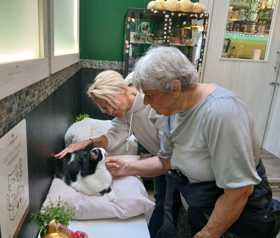 Eine Bewohnerin und Fachsozialbetreuerin Heidi streicheln eine schwarz-weiße Katze auf einem Kissen im Katzencafé.