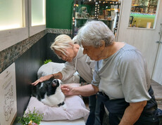 Eine Bewohnerin und Fachsozialbetreuerin Heidi streicheln eine schwarz-weiße Katze auf einem Kissen im Katzencafé.