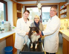 Youngherosday 2015 Tierarzt Foto in der Praxis mit einem Hund als Patient