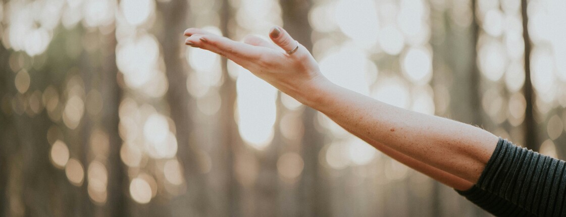 Eine Frau streckt einen Arm seitlich aus, im Hintergrund ist ein sonnendurchfluteter Wald zu sehen. Die Szene vermittelt ein Gefühl von Freiheit und Leichtigkeit.