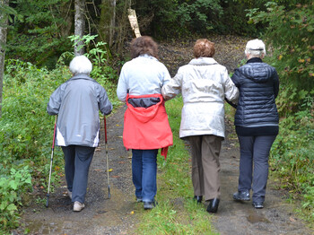 Vier Seniorinnen sind im Wald am Wandern. Ausschließlich deren Rücken sind zu sehen. 