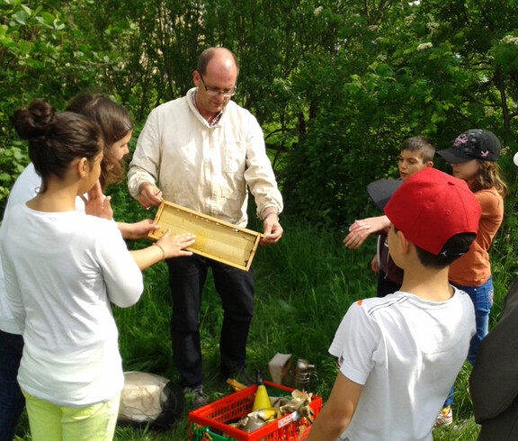 Sechs Kinder im Volksschulalter stehen um einen erwachsenen Mann. Sie sind im Freien bei einem Wald. Der Herr ist Imker und zeigt den Kindern eine Wabe. Die Kinder sind gespannt und sehr aufmerksam. Sie sind sommerlich bekleidet. 