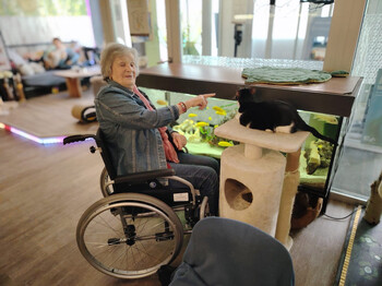 Bewohner*in im Rollstuhl zeigt auf Katze auf Kratzbaum neben Aquarium im Katzencafé, Ausflug Haus Martha Klagenfurt
