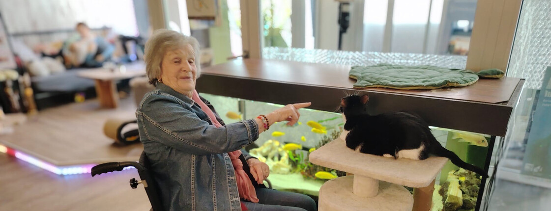 Bewohner*in im Rollstuhl zeigt auf Katze auf Kratzbaum neben Aquarium im Katzencafé, Ausflug Haus Martha Klagenfurt