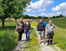 Fünf Menschen wandern auf einem Weg in der Natur