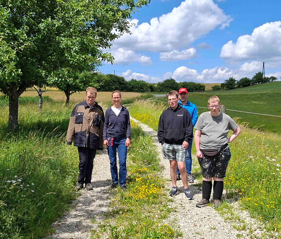 Fünf Menschen wandern auf einem Weg in der Natur