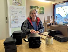 Frau beklebt Holzmuster mit dem richtigen Holznamen