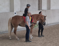 Pferd und drei Personen