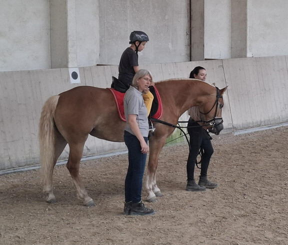 Pferd und drei Personen
