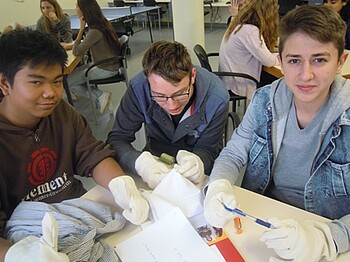 Schüler mit Handschuhen